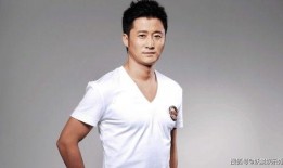 明星娱乐圈最新爆料吴京,娱乐圈再掀波澜！
