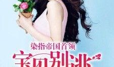 娱乐吃瓜酱宝宝小说,揭秘娱乐圈背后的秘密与笑料