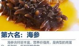 海参最新爆料图片,探寻海洋珍馐的神秘面纱