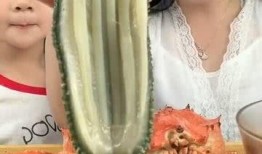 海参最新爆料图片,探寻海洋珍馐的神秘面纱