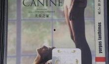 犬齿之家中文在线观看,在线观看，揭秘神秘犬齿家族的传奇故事