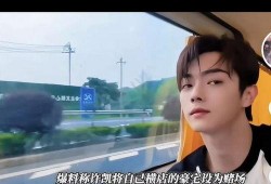 有关许凯的爆料视频播放,揭秘娱乐圈背后真相