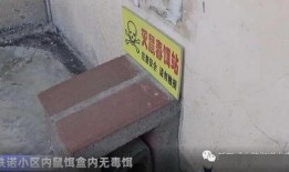 襄阳民发问题爆料最新消息,官方回应与进展梳理